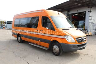 Mercedes-Benz Sprinter / 906 / Euro 4 Kleinbus