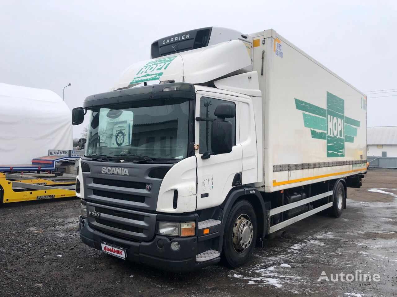 Scania P320  Kühlkoffer LKW