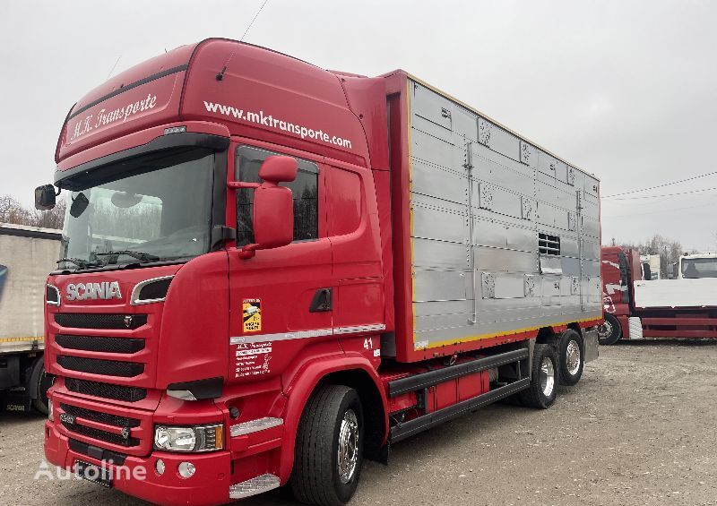 Scania R580 Viehtransporter LKW